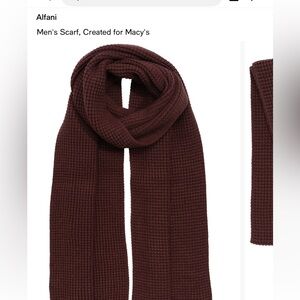 NWT Alfani Brown Scarf for Men